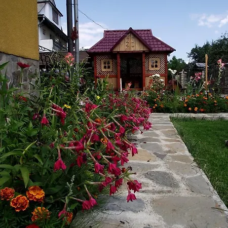 Orman Evi U Myrona *
