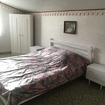 Orman Evi U Myrona Yaremche